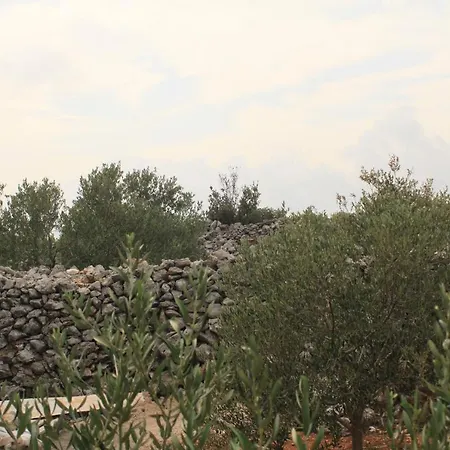 Secluded House Nevidjane, Pasman - 8529 Tatil Evi